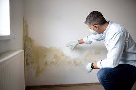 Mold Remediation for Rental Properties in Parklawn, CA